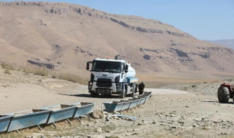 Van’da koyun sürüleri için yaylalara tanker ile su taşınıyor