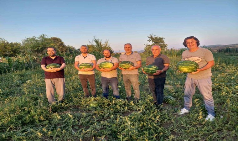 Vezirköprü Ovasında alternatif ürün karpuz