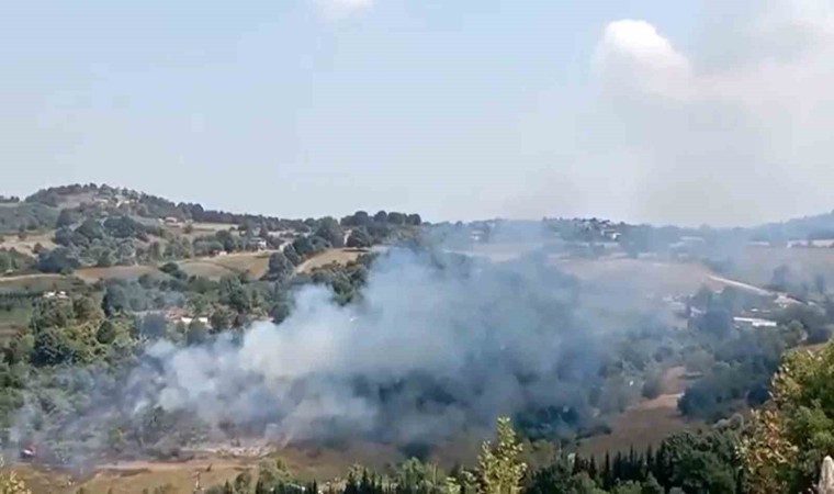 Yalovada korkutan anız yangını