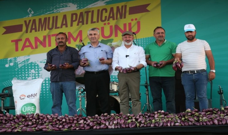 Yamula Patlıcan Festivaline 10 Binlerce Kişi Katıldı