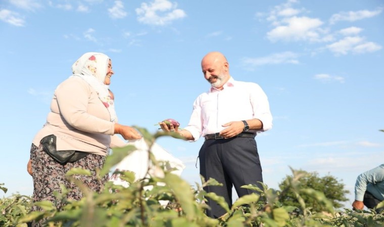 Yamula Patlıcanı Etkinliğine Davet