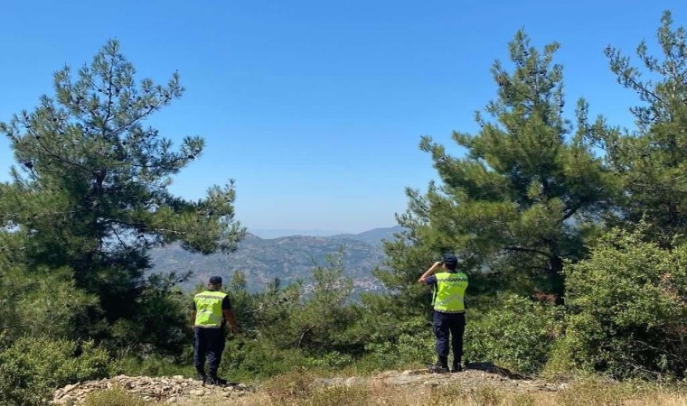 Yasaklı bölgede mangal sefası, jandarmanın radarına takıldı