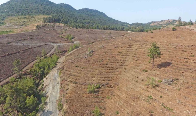 Yeşil Vatan toprakları nakış nakış işleniyor