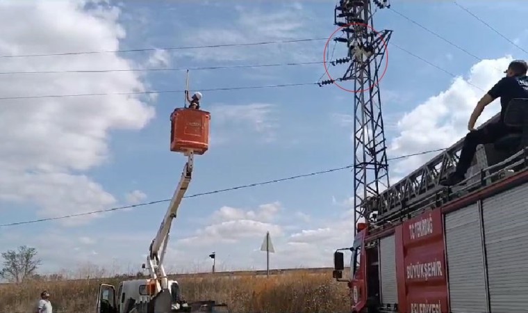 Yüksek gerilim hattında asılı kalan leyleği itfaiye kurtardı