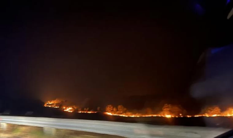 Yunanistan’daki orman yangınlarında 18 kişinin cesedi bulundu