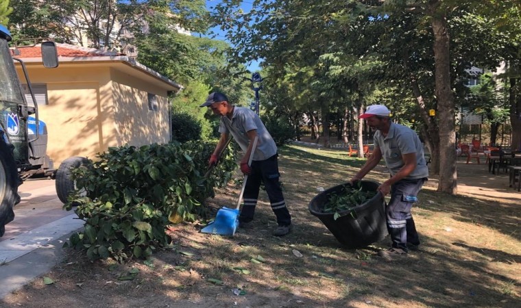 Yunusemre Belediyesinden Yenimahallede park bakımı