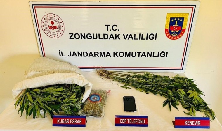 Zonguldakta uyuşturucu operasyonunda 1 tutuklama