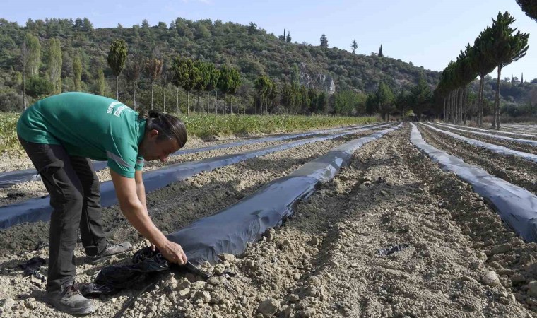 Adabahçede kış hazırlıkları başladı