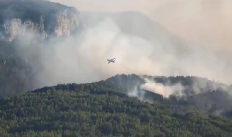 Adana’da orman yangını (3)