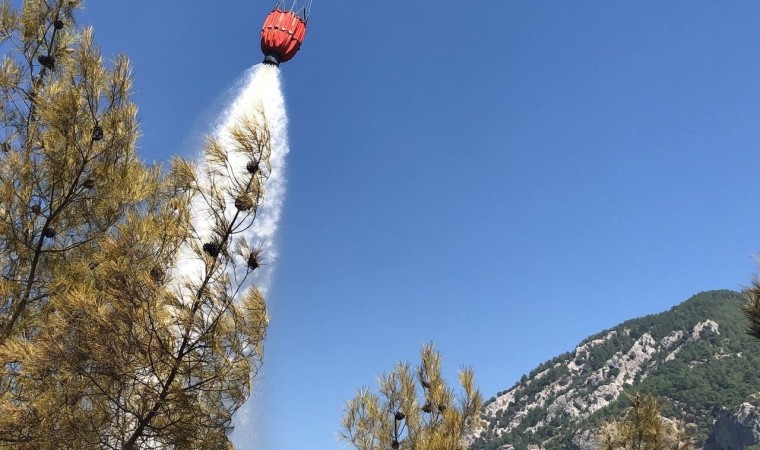 Adanada orman yangını söndürüldü