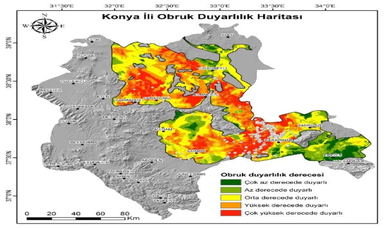 AFAD, yapay zekayla ’obruk duyarlılık haritası’ oluşturdu