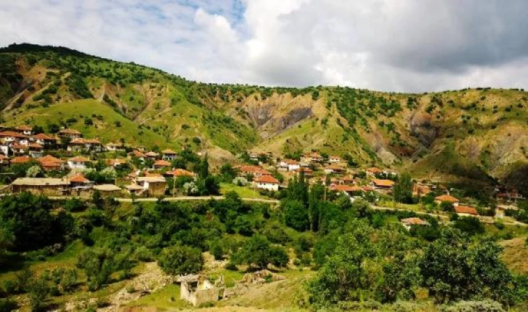 ’Ağaçlara zarar verme’ tartışmasında karı- kocayı tüfekle öldürüp, intihar etti