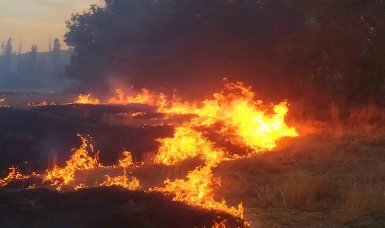 Ağaçlık alana sıçrayan yangın güçlükle kontrol altına alındı