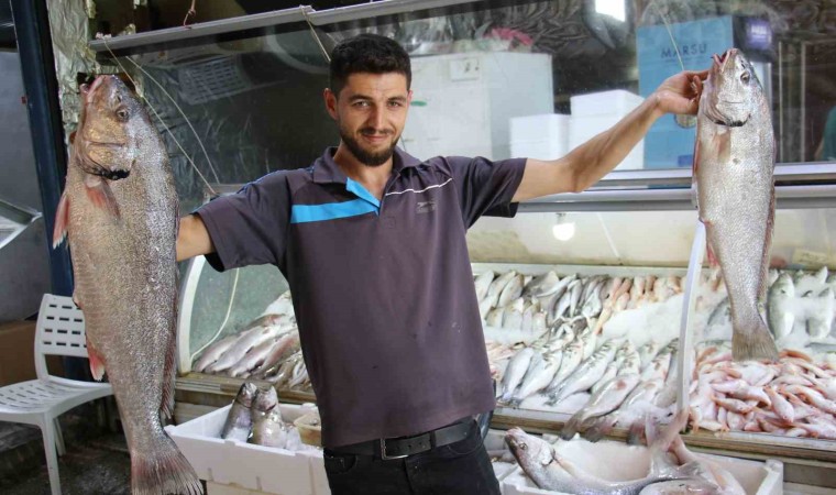 Akdenizde de sezonun açılmasıyla tezgahlar balıkla doldu