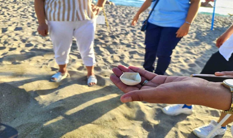 Alanyada caretta caretta yuvalarındaki yumurtalar tek tek kontrol edildi