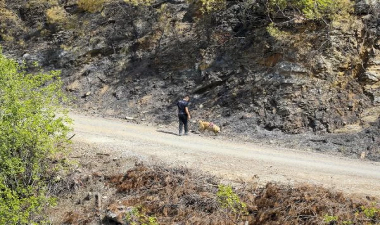 Alanya’daki orman yangınında 2’nci gün (3)