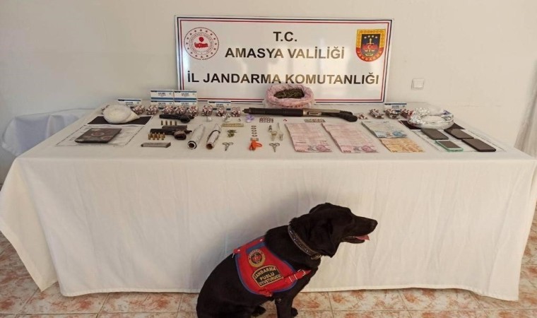 Amasyada jandarmadan uyuşturucu operasyonu: 4 gözaltı