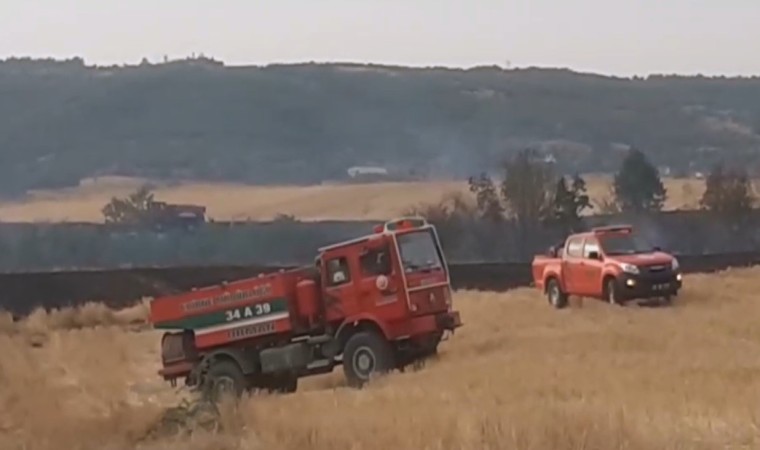 Anız yangını ormanlık alana sıçradı