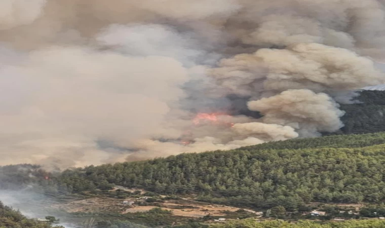 Antalya’da orman yangını / Ek fotoğraflar