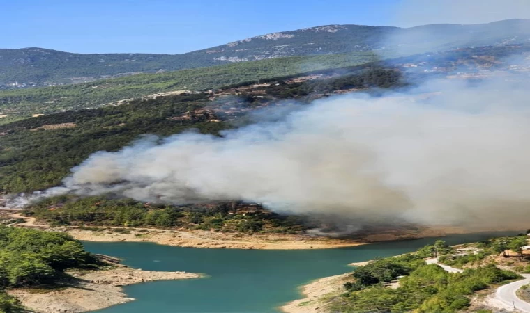 Antalya’da orman yangını