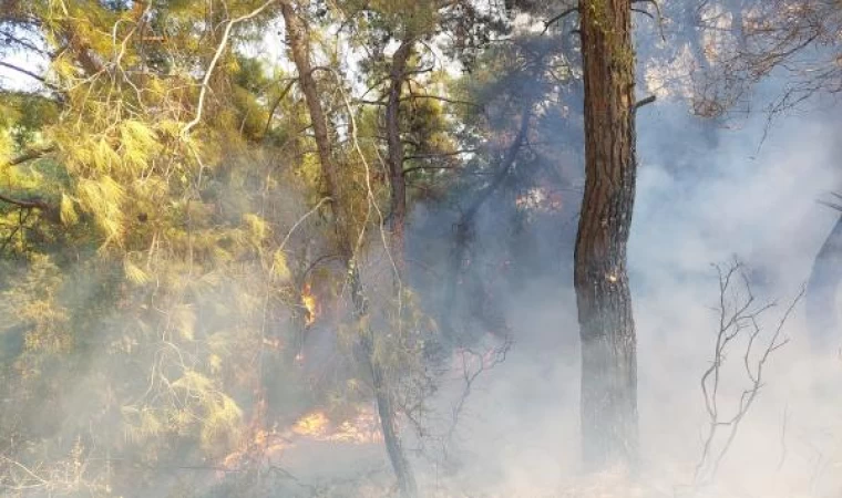 Antalya’da orman yangını (2)