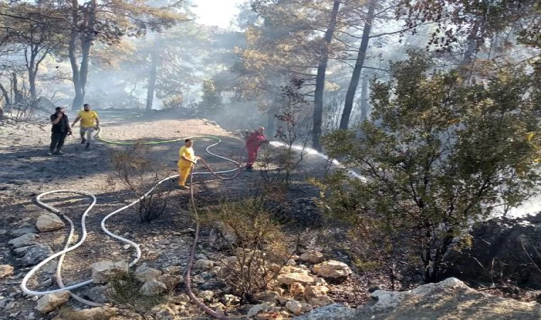 Antalya’da orman yangını (2)