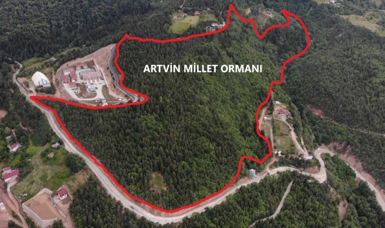 Artvine 10 Hektarlık alanda Millet Ormanı oluşturulacak