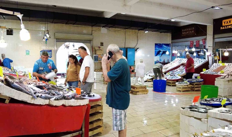 Av yasağı bitti, tezgâhları hamsi ve sardalya süslüyor