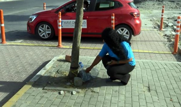 Avcılar’da sokak hayvanları kesici aletle öldürüldü 