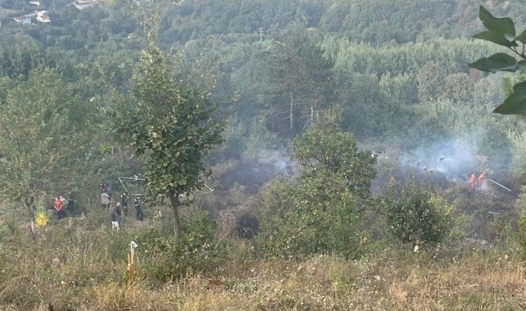 Bahçesindeki çalıları ateşe veren şahıs dumandan zehirlenerek hayatını kaybetti