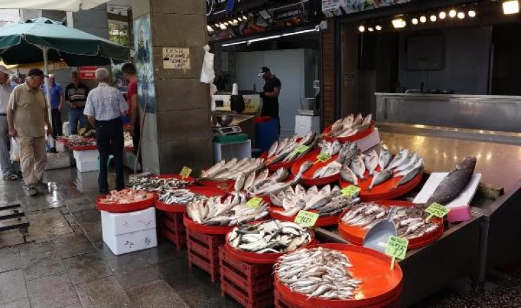 Balık avı başladı, istavritin fiyatı yarıya düştü