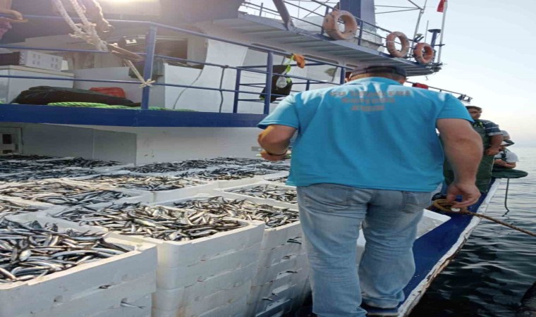 Balık avı sezonu ile birlikte gırgır teknelerinde denetimler de başladı