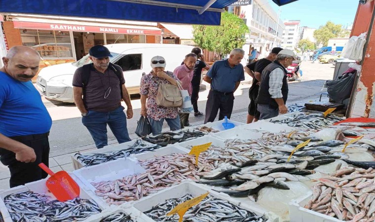 Balıkçı tezgahının bu sezonki starı hamsi