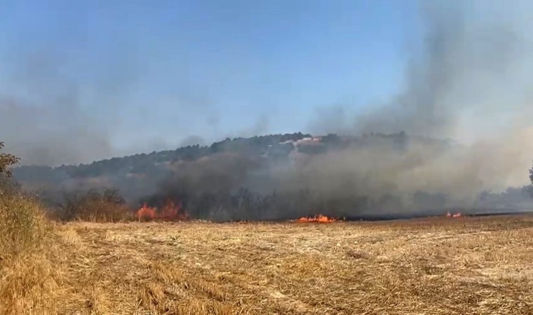 Balıkesirde arazi yangını