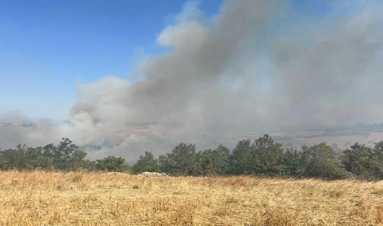 Balıkesir’de tarım arazisinde yangın