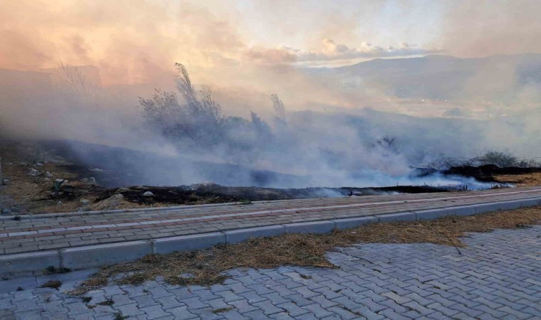 Bandırmada otluk yangını evleri tehdit ediyor