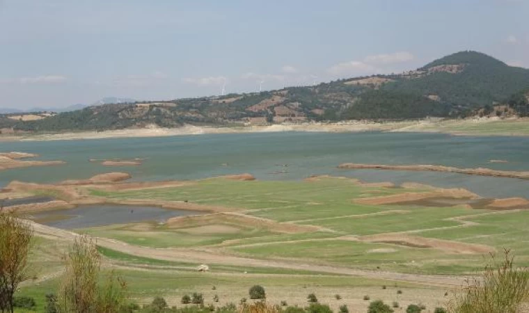 Bayramiç Barajı’nı besleyen dereler kurudu