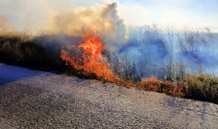 Beyşehir ve Hüyükte çıkan anız yangınları tedirgin ediyor