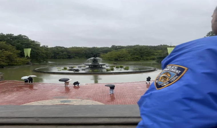 Bir deniz aslanı, Central Park’taki su baskınında kaçtı