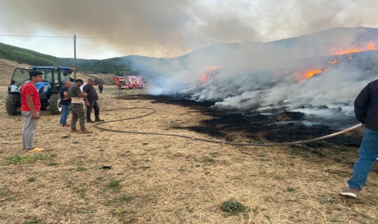 Bir yıllık emek kül oldu