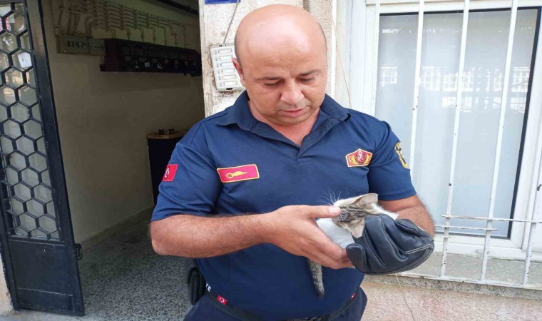 Bodrum havalandırmasına düşen yavru kediyi, itfaiye kurtardı