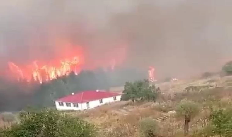 Bolu’da orman yangını