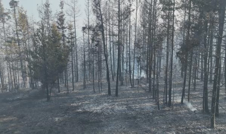 Bolu’daki orman yangını 22,5 saatte kontrol altında