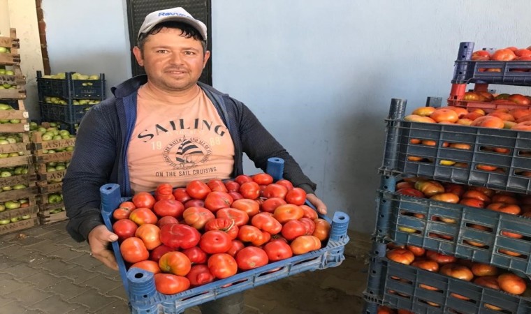 Buldanın organik ürünleri Ege pazarında talep görüyor