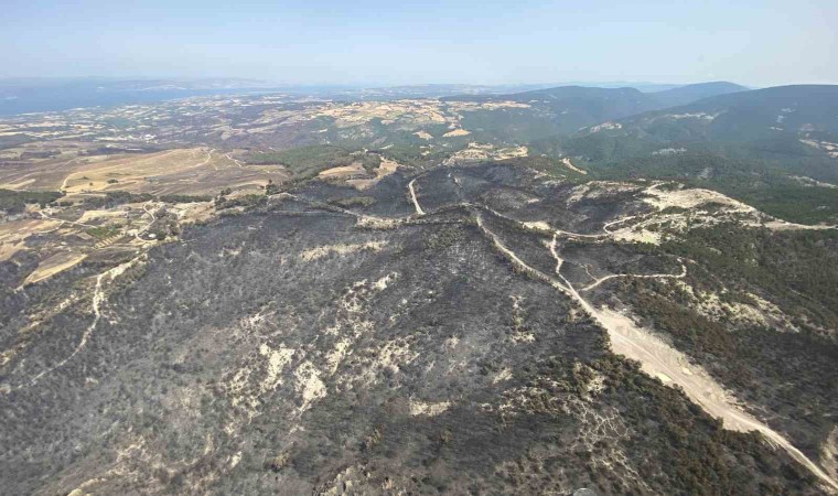 Çanakkalede bu yıl 114 orman yangınında 4 bin 260 hektar ormanlık alan zarar gördü