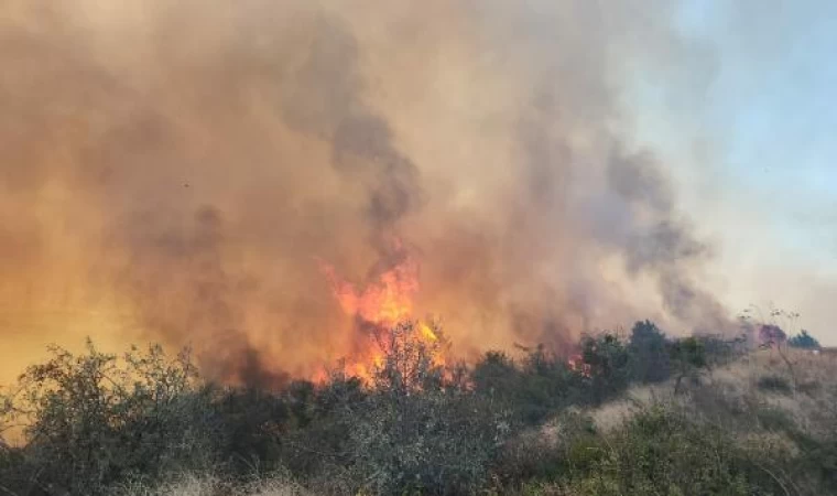 Çanakkale’de maki yangını