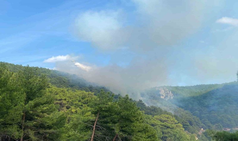 Çanakkalede orman yangını