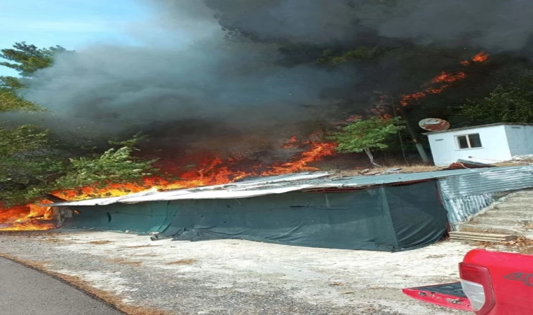 Çanakkale’de orman yangını