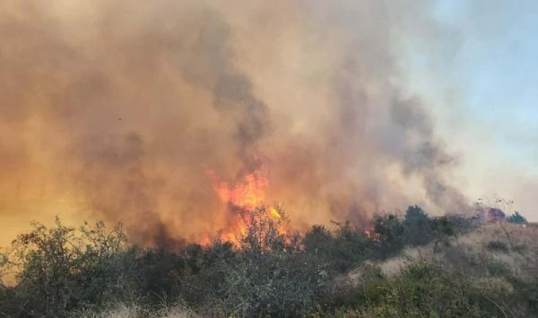 Çanakkale’deki yangın, 16 saatte kontrol altına alındı