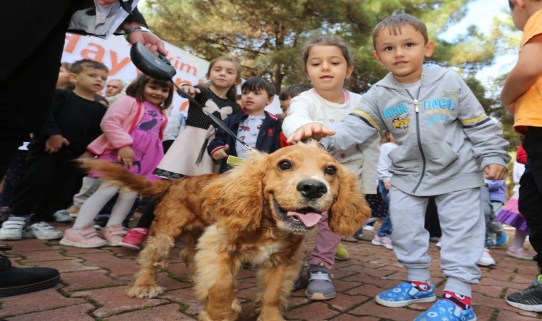 Canikte can dostları için fotoğraf yarışması